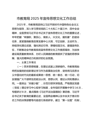 市教育局2025年宣传思想文化工作总结