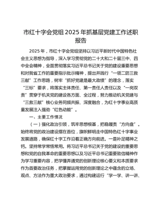 市红十字会党组2025年抓基层党建工作述职报告