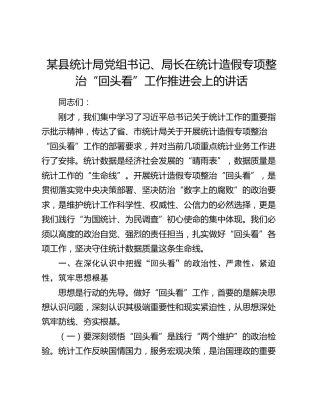 某县统计局党组书记、局长在统计造假专项整治“回头看”工作推进会上的讲话