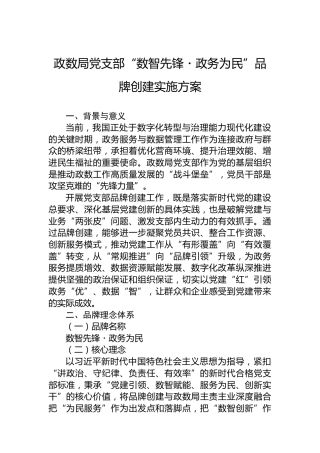 政数局党支部“数智先锋・政务为民”品牌创建实施方案