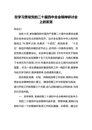 在学习贯彻党的二十届四中全会精神研讨会上的发言（2）
