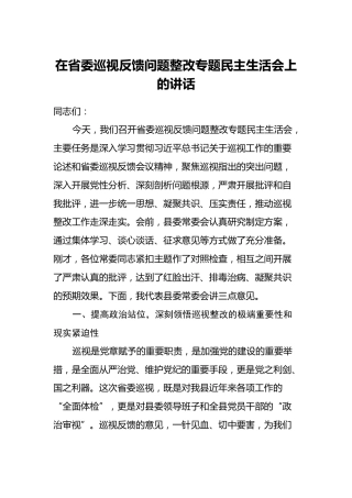 在省委巡视反馈问题整改专题民主生活会上的讲话