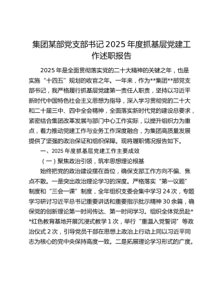 集团某部党支部书记2025年度抓基层党建工作述职报告