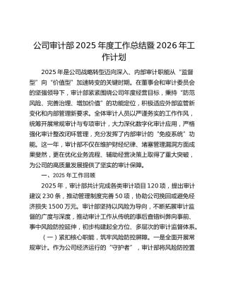 公司审计部2025年度工作总结暨2026年工作计划