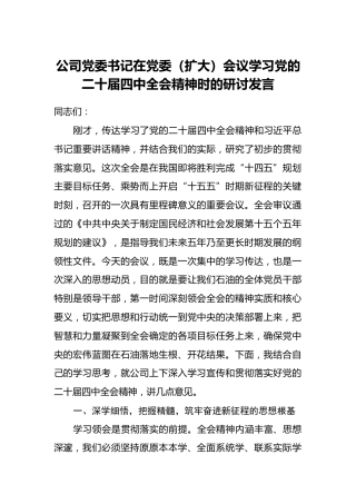 公司党委书记在党委（扩大）会议学习党的二十届四中全会精神时的研讨发言