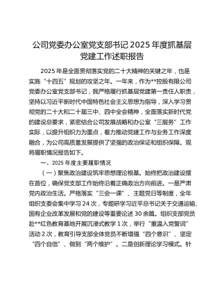 公司党委办公室党支部书记2025年度抓基层党建工作述职报告