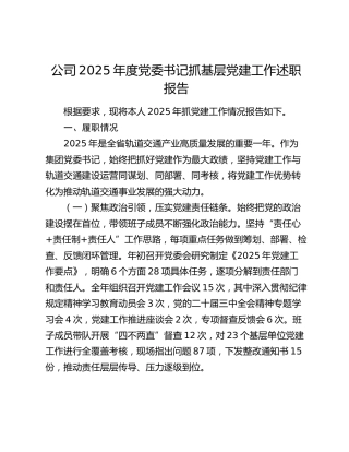 公司2025年度党委书记抓基层党建工作述职报告