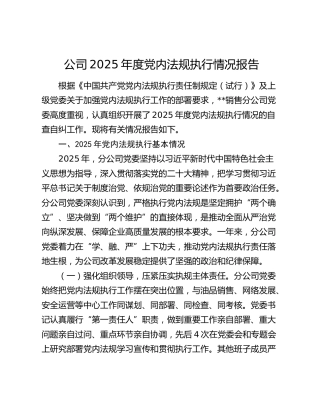 公司2025年度党内法规执行情况报告