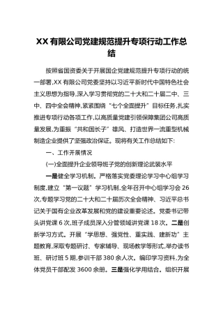 XX有限公司党建规范提升专项行动工作总结