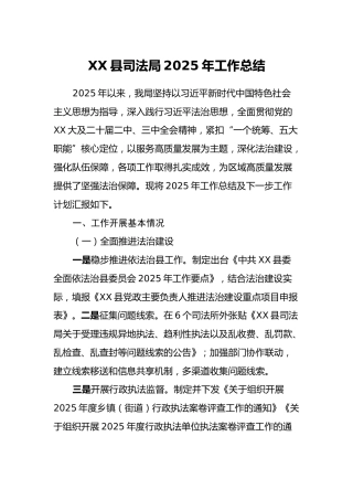 XX县司法局2025年工作总结