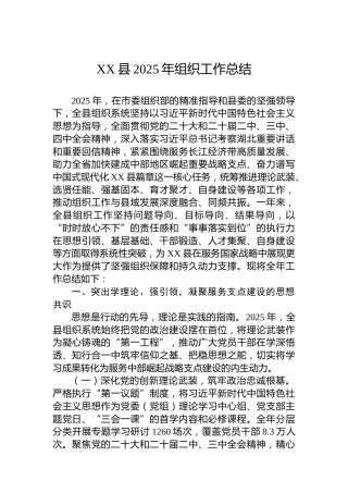 XX县2025年组织工作总结