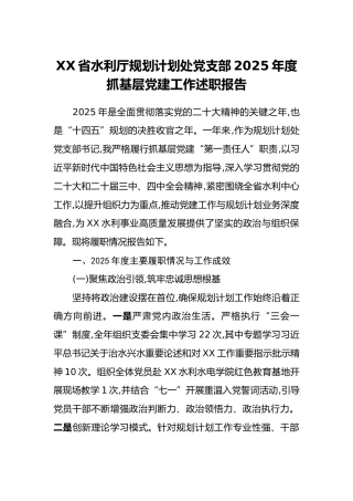 XX省水利厅规划计划处党支部2025年度抓基层党建工作述职报告