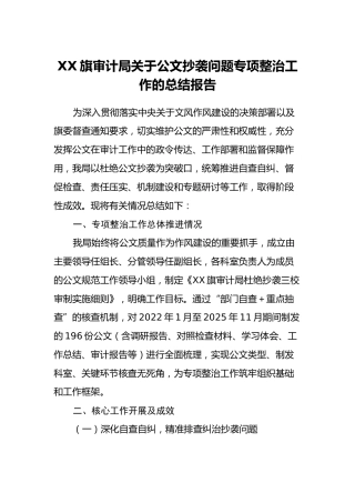 XX旗审计局关于公文抄袭问题专项整治工作的总结报告