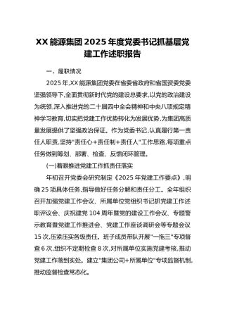XX能源集团2025年度党委书记抓基层党建工作述职报告