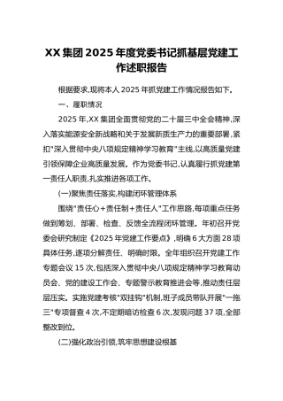 XX集团2025年度党委书记抓基层党建工作述职报告