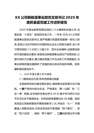 XX公司新能源事业部党支部书记2025年度抓基层党建工作述职报告