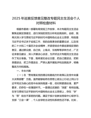 2025年巡察反馈意见整改专题民主生活会个人对照检查材料