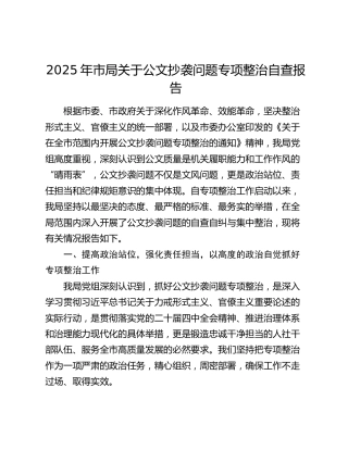 2025年市局关于公文抄袭问题专项整治自查报告