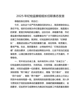 2025年纪检监察组组长任职表态发言