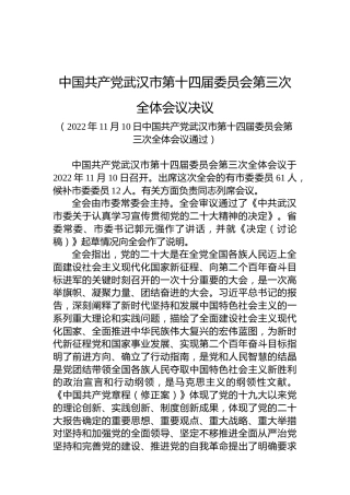 中国共产党武汉市第十四届委员会第三次全体会议决议