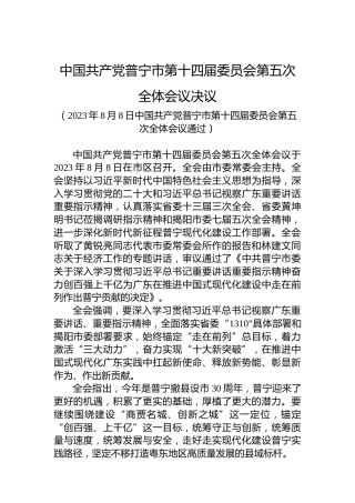 中国共产党普宁市第十四届委员会第五次全体会议决议
