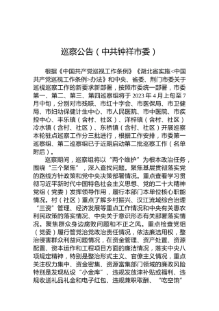 巡察公告（中共钟祥市委）