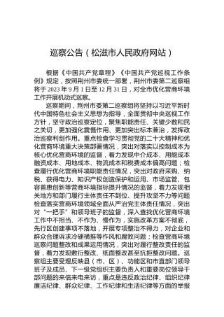 巡察公告（松滋市人民政府网站）