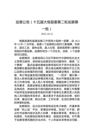 巡察公告（十五届大悟县委第二轮巡察第一批）