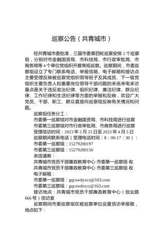 巡察公告（共青城市）