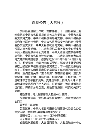 巡察公告（大名县）