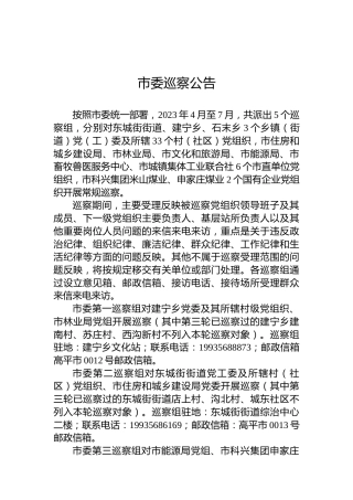 市委巡察公告