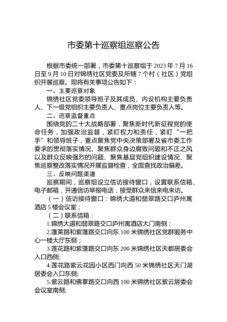 市委第十巡察组巡察公告