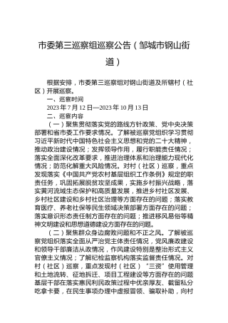 市委第三巡察组巡察公告（邹城市钢山街道）