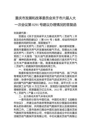 重庆市发展和改革委员会关于市六届人大一次会议第0291号建议办理情况的答复函