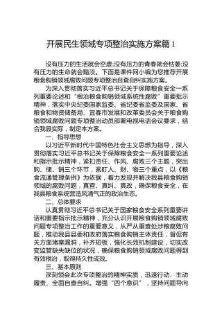 开展民生领域专项整治实施方案（3篇）