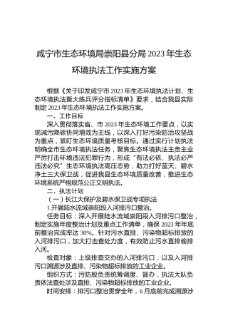 咸宁市生态环境局崇阳县分局2023年生态环境执法工作实施方案