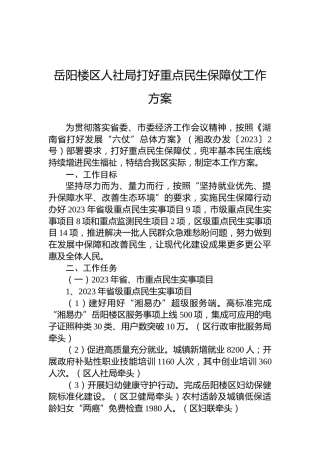 岳阳楼区人社局打好重点民生保障仗工作方案