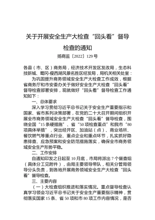 关于开展安全生产大检查“回头看”督导检查的通知