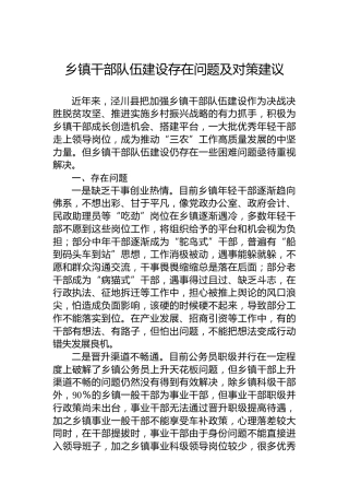 乡镇干部队伍建设存在问题及对策建议