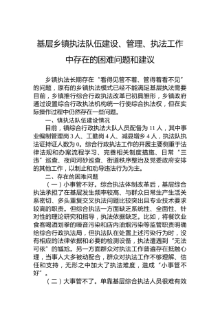 基层乡镇执法队伍建设、管理、执法工作中存在的困难问题和建议