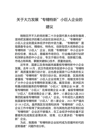 关于大力发展“专精特新”小巨人企业的建议