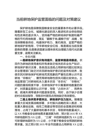 当前耕地保护监管面临的问题及对策建议
