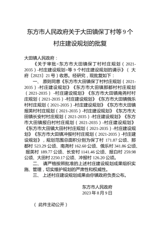 东方市人民政府关于大田镇保丁村等9个村庄建设规划的批复