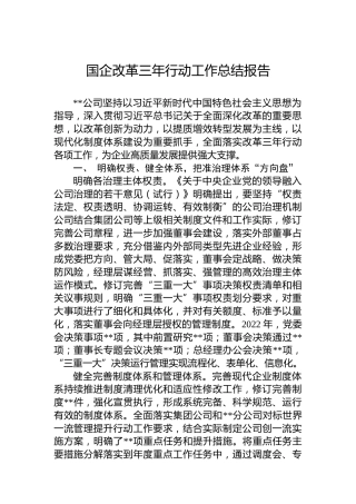 国企改革三年行动工作总结报告