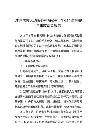 洋浦鸿志劳动服务有限公司“3•15”生产安全事故调查报告