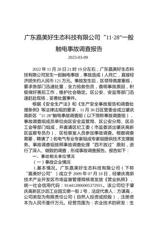 广东嘉美好生态科技有限公司“11·28”一般触电事故调查报告