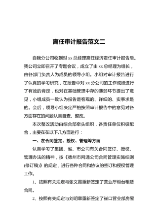 离任审计报告范文二