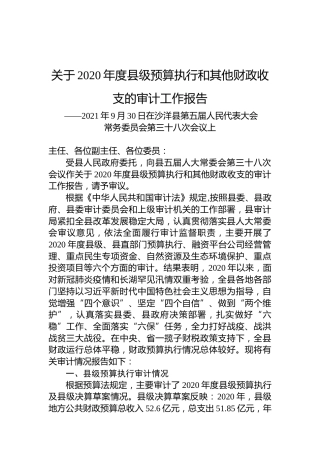 关于2020年度县级预算执行和其他财政收支的审计工作报告