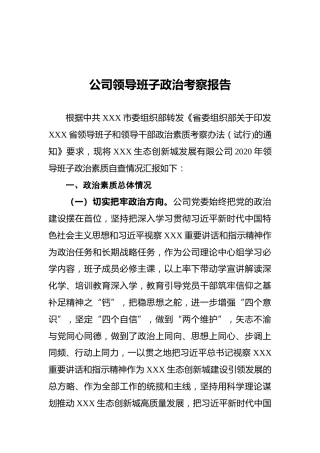 公司领导班子政治考察报告