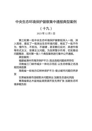 中央生态环境保护督察集中通报典型案例（十九）